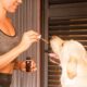 CBD oil for pets